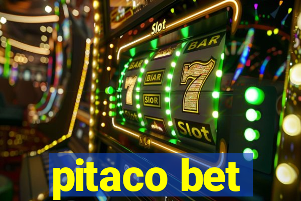 pitaco bet
