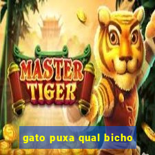 gato puxa qual bicho