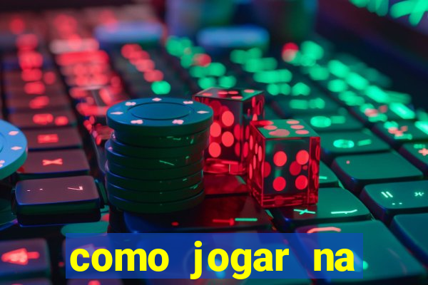 como jogar na lotinha do jogo do bicho