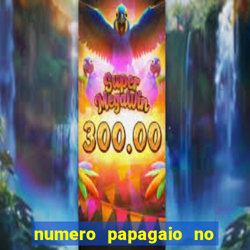 numero papagaio no jogo do bicho