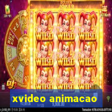 xvideo animacao