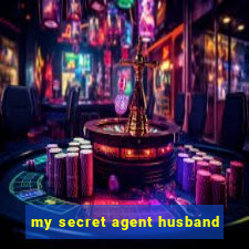 my secret agent husband