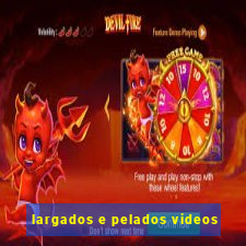 largados e pelados videos