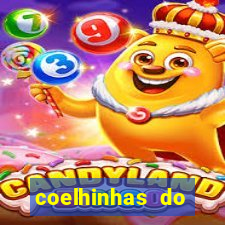 coelhinhas do brasil site