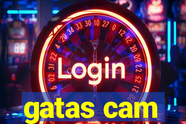 gatas cam