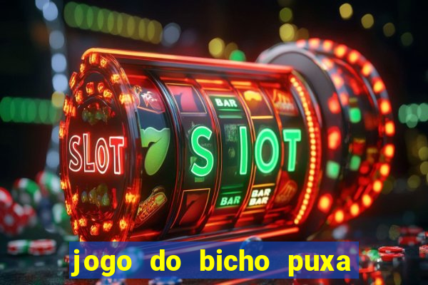 jogo do bicho puxa de dona maria