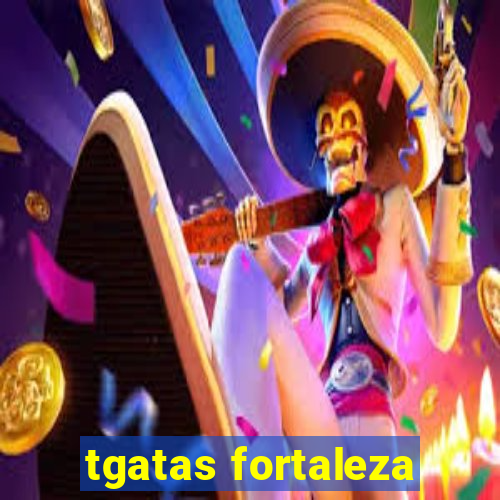 tgatas fortaleza