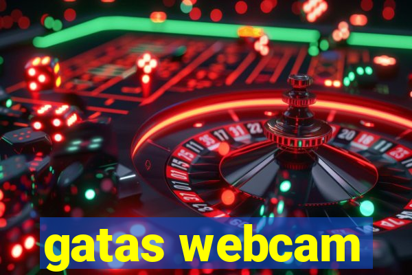 gatas webcam