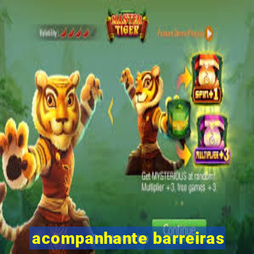 acompanhante barreiras
