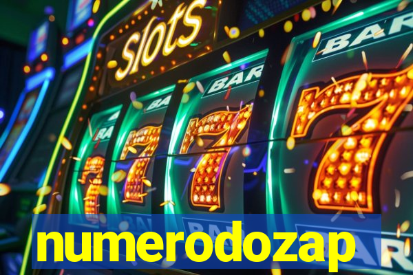 numerodozap