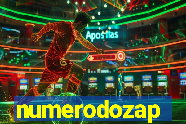 numerodozap