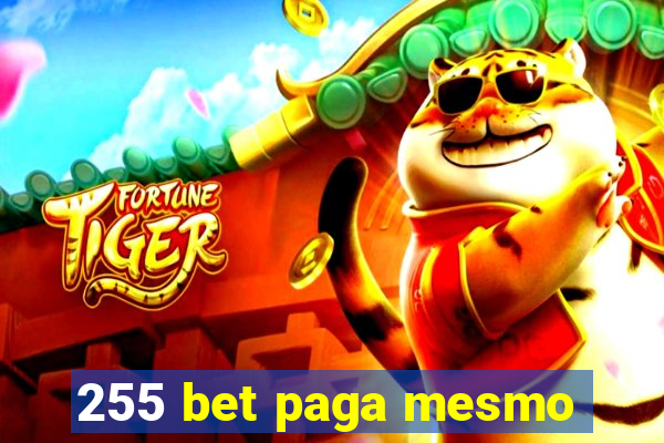 255 bet paga mesmo