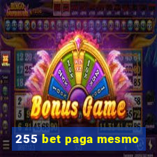 255 bet paga mesmo