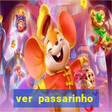 ver passarinho morto significado espiritual